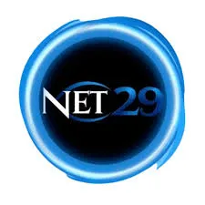 net29 APK Fishing